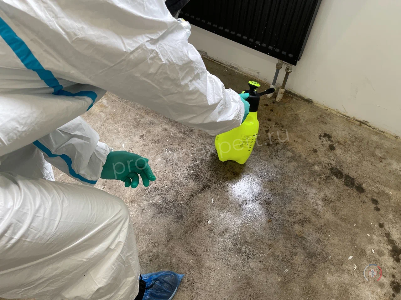 Галерея